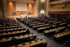 UNHRC opens 49th session, Vietnam attends its high-level segment