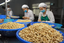 Firms must work to fully benefit from UKVFTA: Insiders