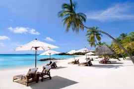 Two Vietnam’s beaches among top ten most popular beach destinations: Tik Tok