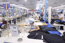 EVFTA helps compensate for pandemic-caused economic downturn: experts