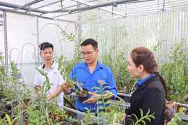 Lam Dong to provide funding to start-ups owned by young people