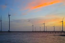 Vietnam needs laws for sustainable energy development