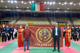 Vietnamese traditional martial arts promoted in Italy
