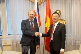 Vietnam, Slovakia seek opportunities to promote cooperation, investment 