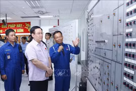 Resources should be mobilised for expansion of Dung Quat Oil Refinery: top legislator