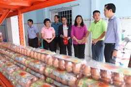 Food bank opens warehouse in Mekong Delta