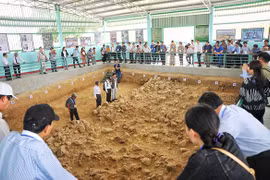 Five more special national relic sites recognised