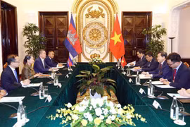 Deputy PMs agree on measures for strengthening Vietnam - Cambodia links