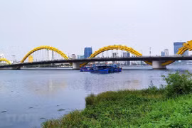 Da Nang: trade-business-investment activities in full swing this June