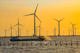 Vietnam pushes for energy restructuring: official