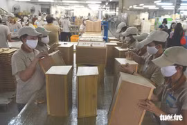 Timber exporters struggle to find new markets