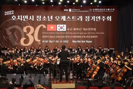 Concert celebrates 30th anniversary of Vietnam-RoK diplomatic ties