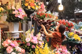 Fresh flower prices on the rise for International Women's Day