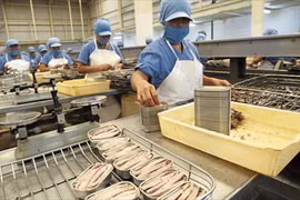 Vietnam’s tuna exports to France up 203% in 7 months 
