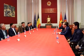 Party official visits Vietnamese embassy in Belgium