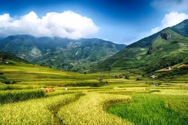Politburo’s resolutions give new boost to development of regions