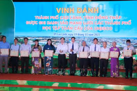 Cao Lanh celebrates membership in UNESCO Global Network of Learning Cities 