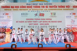 Vietnam – RoK culture exchange takes place in Da Nang 