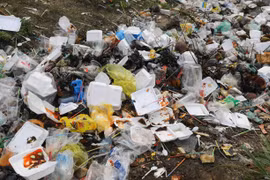 Take-away food packaging makes up 44% of plastic waste in Vietnam: WB survey