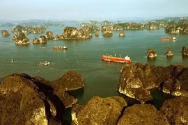 UNESCO Director General hails Vietnam as effective cooperation model