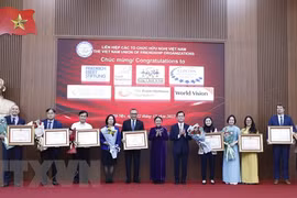 Seven NGOs awarded PM’s certificates of merit for contributions to Vietnam’s development