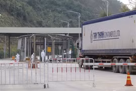 Over 1,650 Vietnamese firms receive codes to export farm produce to China