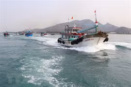 Tien Giang striving to develop sustainable offshore fishing: official