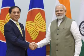 Vietnam, India agree to foster effective, substantial partnership
