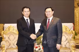 NA Chairman receives President of State Audit Organisation, meets former leader of Laos 