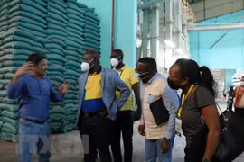 Gabonese trade minister explores rice production in Long An