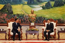 Hanoi prioritises friendship, cooperation with Lao localities: official
