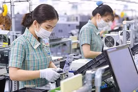 Book on Vietnam-RoK ties debuts