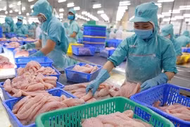 Member of European Parliament highly values Vietnam’s stature