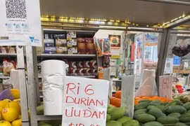 Consultation session to give advice on durian exports 