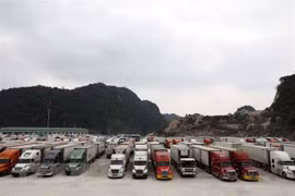 Deputy PM requests no congestion of trucks at border gates before lunar New Year