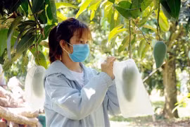 UK attaches importance to agriculture cooperation with Vietnam