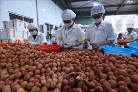 Big step for Vietnamese fruit towards US market