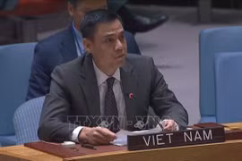 Vietnam ready to cooperate with UN member states in peacekeeping: Diplomat 