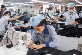  Dong Nai posts trade surplus of over 1.5 billion USD