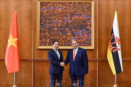 Vietnam, Brunei FMs co-chair second Joint Commission for Bilateral Cooperation meeting