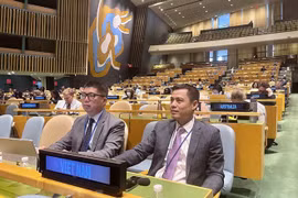 UNGA passes pandemic response resolution co-introduced by Vietnam