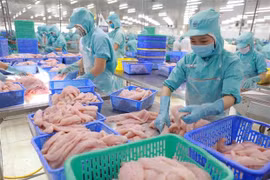 New Chinese registration regulations challenge Vietnamese exporters