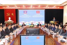 Vietnam, Laos step up cooperation in mass mobilisation