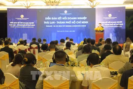 Recommendations put forward to boost Thailand-HCM City trade, investment