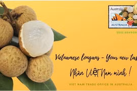 Ten tonnes of Vietnamese longan exported to Australia