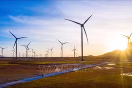Tasks, solutions set to fulfill COP26 commitments