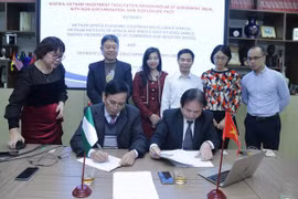 Vietnamese agencies cooperate in cattle breeding with Nigerian partners 