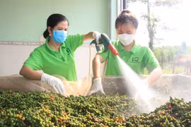 Untapped opportunities for Vietnamese pepper exports to UK