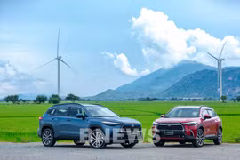 Automobile sales down 42% due to lack of spare parts