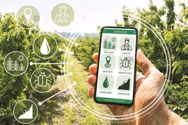 Vietnam accelerating digital transformation in new-style rural building